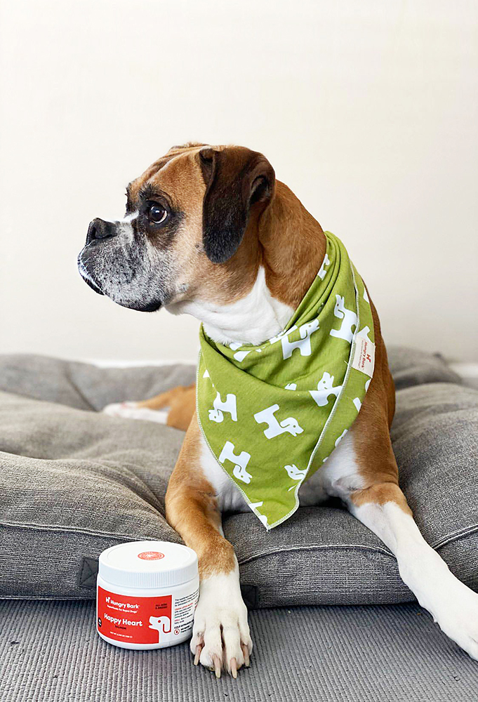 pet food branding dog bandana